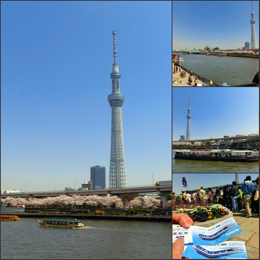 b0190603_5392548.jpg