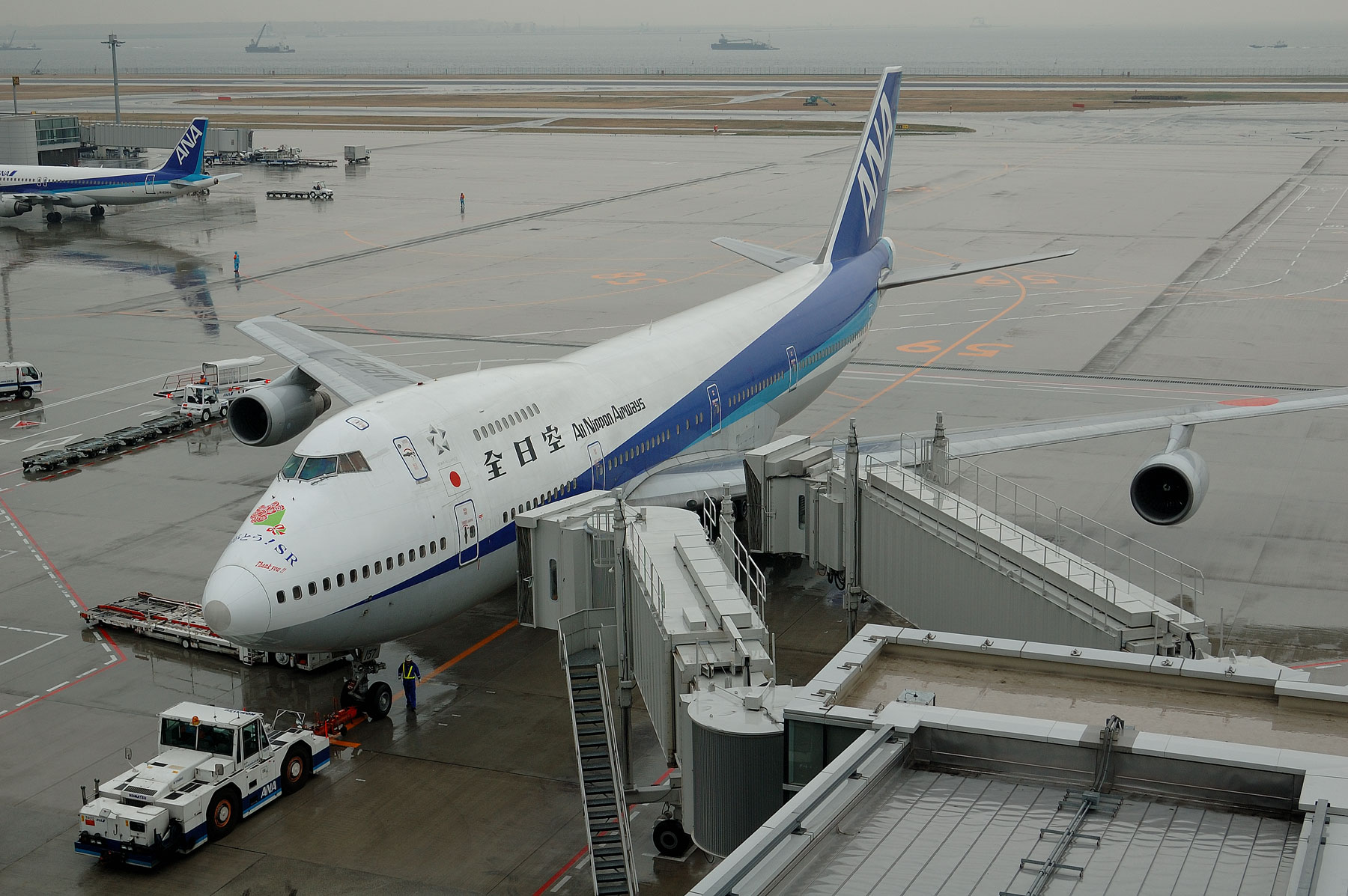 BOEING 747SR-81 / JA8157 -ラストフライト- : SKY LOUNGE