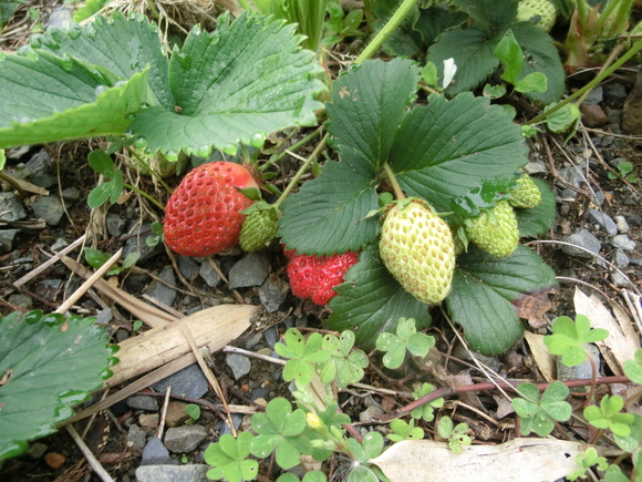 d0237309_21474999.jpg