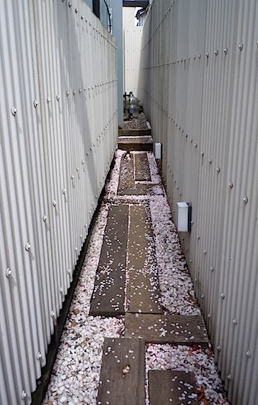 f0036716_15324694.jpg