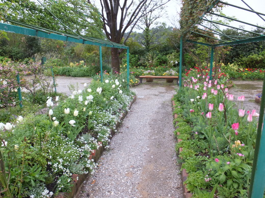 4月16日*花の庭*の様子です。_e0135518_16272885.jpg