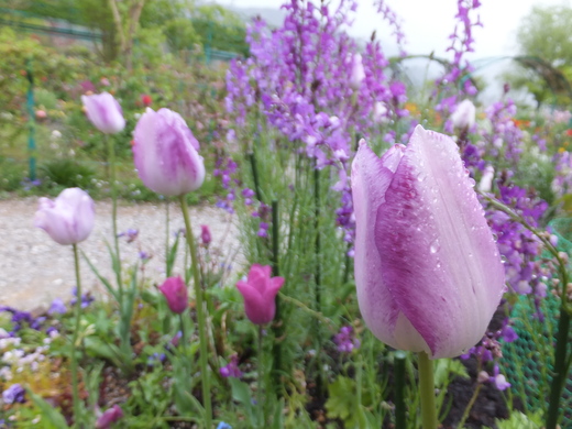 4月16日*花の庭*の様子です。_e0135518_16334122.jpg