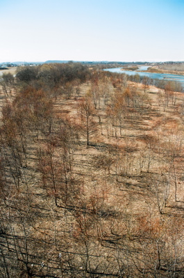 f0182924_23114562.jpg