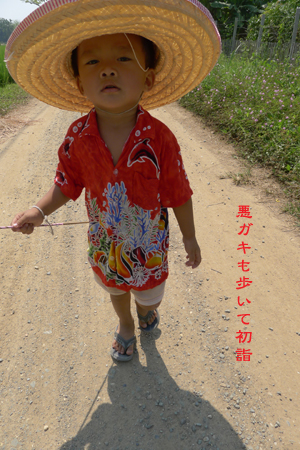 d0042827_0354729.jpg