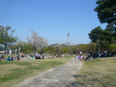 頭流公園で春のピクニック♪_b0132630_11211980.jpg