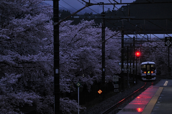 桜灯_f0050534_1393491.jpg