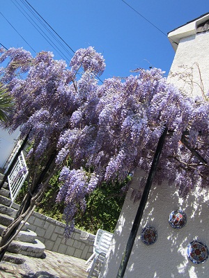 e0120938_10158.jpg