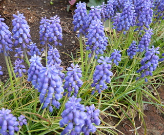 b0200240_19114350.jpg
