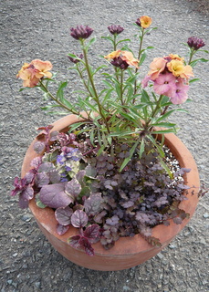 b0200240_20343395.jpg