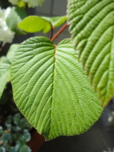 c0192740_18173652.jpg