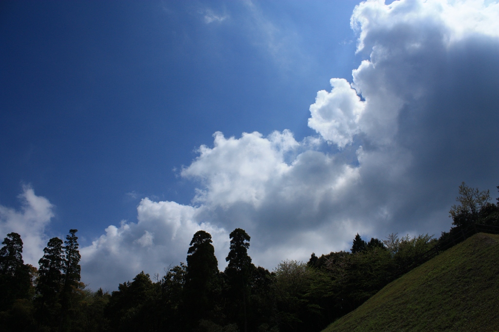 a0133142_2221396.jpg