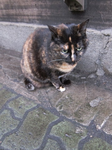 e0018143_15355112.jpg
