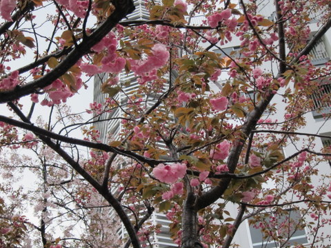 e0018143_15361620.jpg