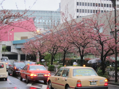 e0018143_1537297.jpg