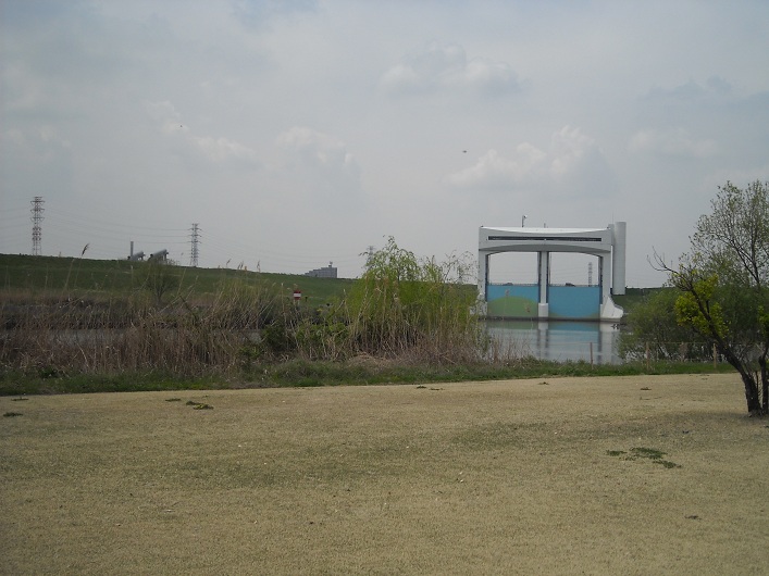 f0224347_1553428.jpg