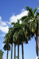 f0205148_81054.jpg