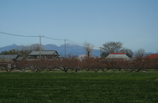 e0126350_23396100.jpg