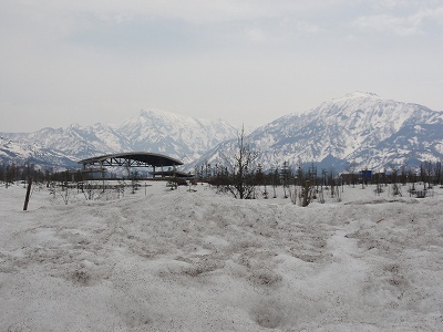 八色の森公園の雪がだいぶ消えました_a0084753_13481316.jpg