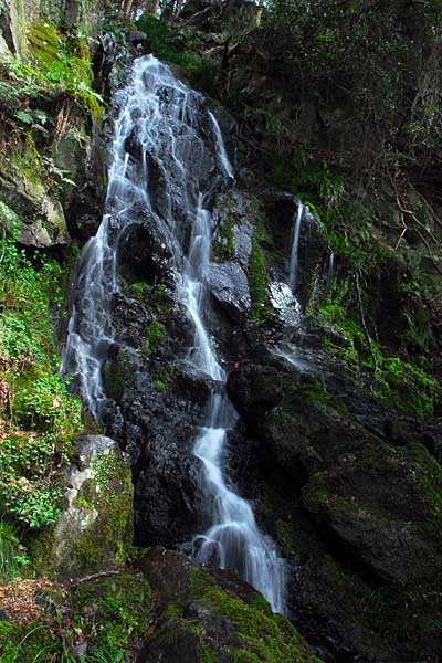 滋賀県　三井寺から大文字山へ_e0035757_1921328.jpg