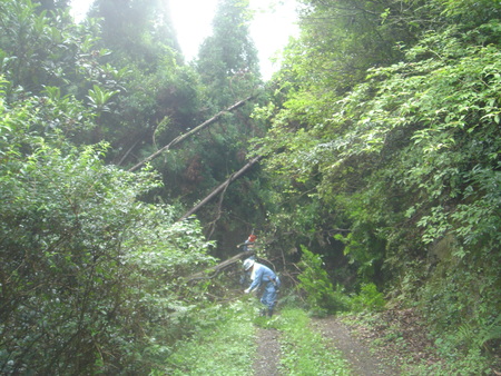 みさき里山クラブ定例活動日：進入路草刈り_c0108460_23554097.jpg