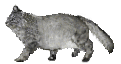 c0119160_2234373.gif