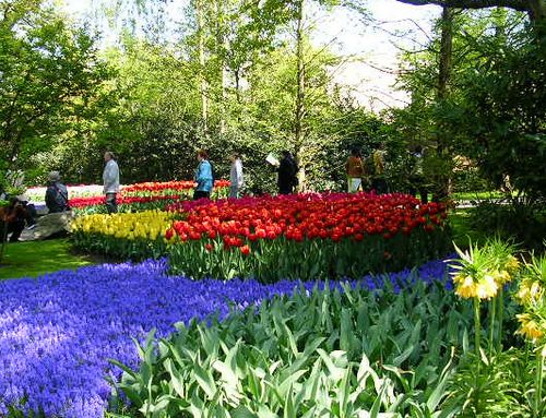 2012年4月17日(火)東京ドイツ村に行ってきたよ!_f0060461_21431824.jpg