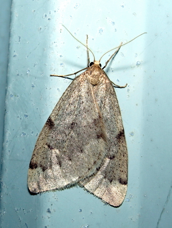 b0130166_200458.jpg