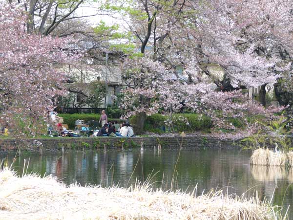 一期一会の花の宴_f0086169_19574022.jpg