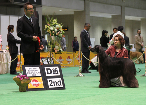 2012FCI　JapanInternational　Dog　Show　Part10_a0018671_21163716.jpg