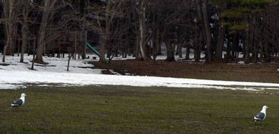 f0083977_164051.jpg