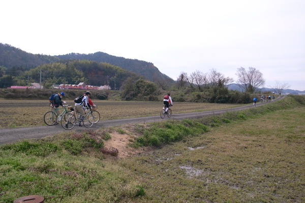 ３クラブ合同ラン 杉坂峠、霊山周回_f0124378_19185250.jpg