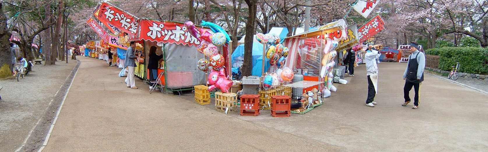 高田公園の桜！_e0065084_20363320.jpg