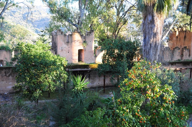 e0244492_1745415.jpg