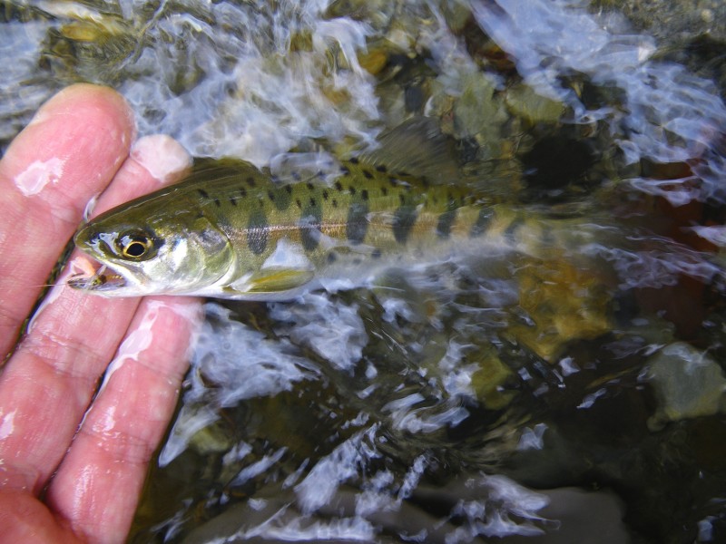 f0129994_14164253.jpg