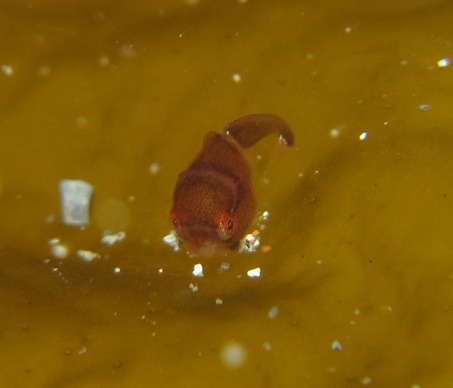 f0238795_20371012.jpg