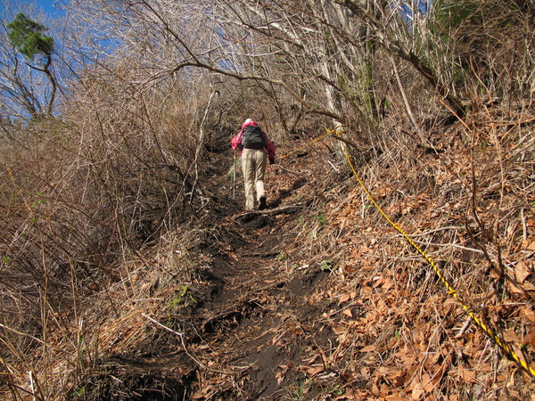 大戸ノ口峠から登る阿蘇根子岳とオキナグサ　2012・4・15_a0166196_21552572.jpg