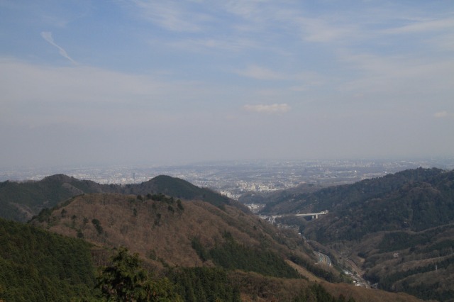 春の賑わいスミレオフ会＠裏高尾　　　　　　2012.4.15(日)_c0213096_1613442.jpg