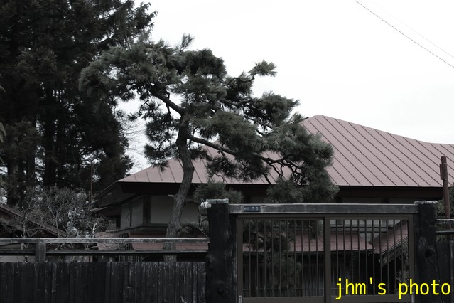 a0158797_23184956.jpg