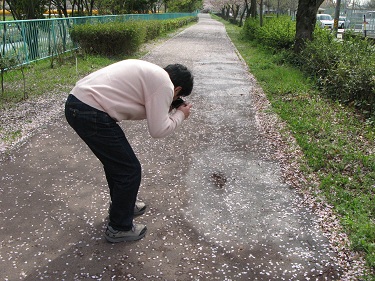 雨上がり_f0103797_1634686.jpg