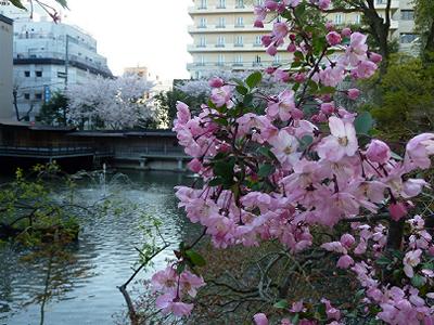 生田の森と生田の池_b0051598_22184194.jpg