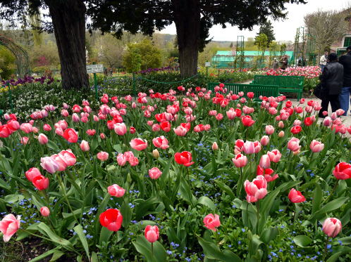 菜の花ドライブ de ジヴェルニー「その2」_c0090198_2326426.jpg