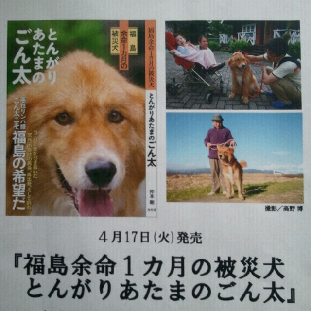 とんがりあたまのごん太 ③ ＜転載＞_f0176499_20211878.jpg