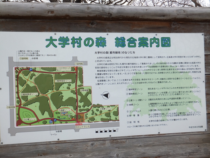 クララと森に行こう!!_c0226202_14313127.jpg