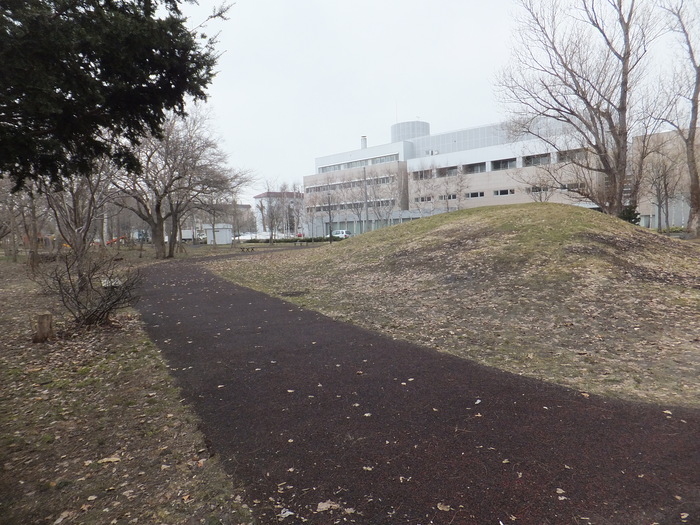 クララと森に行こう!!_c0226202_14323375.jpg