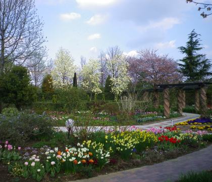 f0065604_20551452.jpg