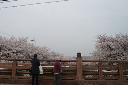 f0221708_17171687.jpg