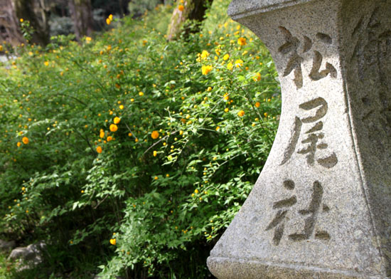 松尾大社_e0048413_21224736.jpg