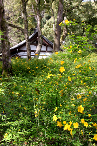 松尾大社_e0048413_21225928.jpg