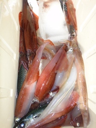 f0031613_20720100.jpg