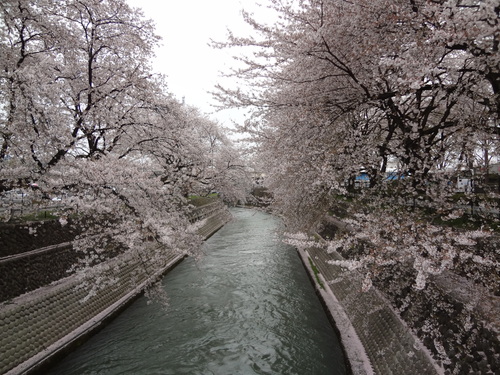 a0240714_1102364.jpg